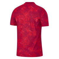 Nike Poland Fans Away Shirt 2026-2028