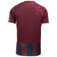 adidas PEC Zwolle Leo Major Bevrijdingsshirt 2025-2026