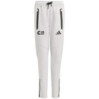 ZFT Casual Pant Grijs