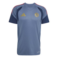adidas Bayern Munich Training Shirt 2026-2027 Dark Blue Red Gold