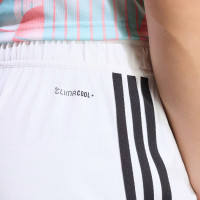 adidas België Uitset 2026-2028