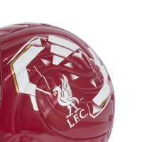 adidas Liverpool Mini Voetbal Maat 1 2026-2027 Rood Wit Goud