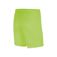 IJsselmeervogels Uitshort Merchandise Junior