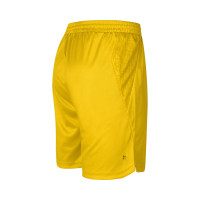VV SCP - Robey Keepersshort Geel - Senior
