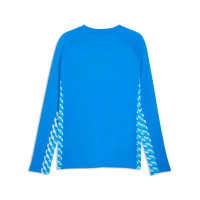 PUMA teamLIGA26 Sweater Blauw Wit