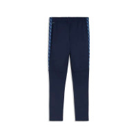 PUMA TeamLiga26 Training pants Dark Blue White