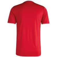 Zeeburgia Trainingsshirt Rood