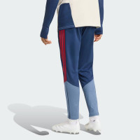 adidas Bayern Munich Training pants 2026-2027 Dark Blue Red Gold