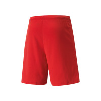 NSV 46 Thuisshort Senior