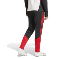 adidas Benfica Training pants 2026-2027 Black Red