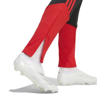 adidas Benfica Training pants 2026-2027 Black Red