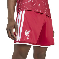 adidas Liverpool Thuistenue 2026-2027