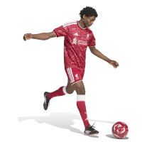 adidas Liverpool Thuistenue 2026-2027