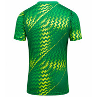 Nike Dri-FIT Gardien VI Keepersshirt Lichtgroen Wit