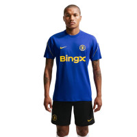 Nike Chelsea Strike Training Shirt 2026-2027 Blue Golden Yellow White