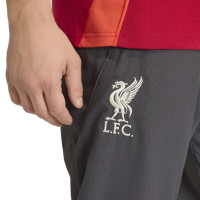 adidas Liverpool Presentation Training pants 2025-2026 Grey Red Silver