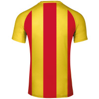 Sporting Martinus Wedstrijdshirt Kids v.a. O14 Geel Rood