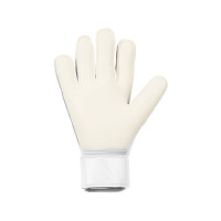 Nike Vapor Grip3 Goalkeeper Gloves White Turquoise
