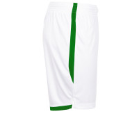 Stanno Focus Voetbalbroekje II Wit Groen