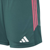 adidas Jude Bellingham Trainingsset Kids Wit Donkergroen Zwart Roze