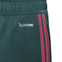 adidas Jude Bellingham Training pants Kids Dark Green Pink White