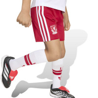 adidas Liverpool Minikit Uit 2026-2027 Peuters/Kleuters