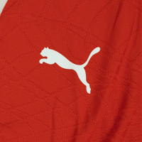 PUMA Morocco Training sweater 1/4-Zip 2026-2028 Red White