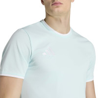 adidas Entrada 26 Voetbalshirt Mintgroen Wit