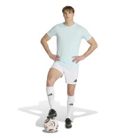 adidas Entrada 26 Voetbalshirt Mintgroen Wit