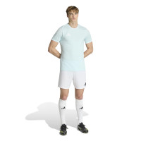 adidas Entrada 26 Voetbalshirt Mintgroen Wit