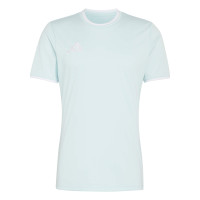 adidas Entrada 26 Voetbalshirt Mintgroen Wit
