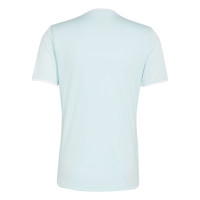 adidas Entrada 26 Voetbalshirt Mintgroen Wit