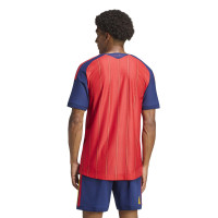 adidas Spanje Thuisshirt Authentic Winners 2026-2028