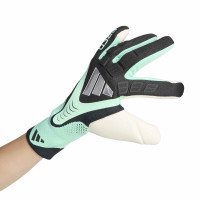 adidas Predator Pro Goalkeeper Gloves Black Mint Green Silver