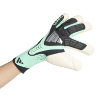 adidas Predator Pro Hybrid Keepershandschoenen Zwart Mintgroen Zilver