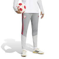 adidas Liverpool Europees Trainingsbroek 2026-2027 Grijs Rood Wit