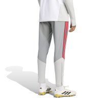 adidas Liverpool Europees Trainingsbroek 2026-2027 Grijs Rood Wit