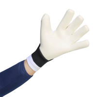 adidas Predator Pro Hybrid Goalkeeper Gloves White Black Pink