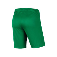 VTZ Keepershort Groen