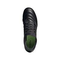 adidas COPA 20.1 GRAS VOETBALSCHOENEN (FG) Zwart Zwart Groen