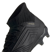 adidas PREDATOR 19.2 Gras Voetbalschoenen (FG) Zwart Zwart