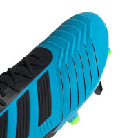 adidas PREDATOR 19.1 Gras Voetbalschoenen (FG) Blauw Zwart