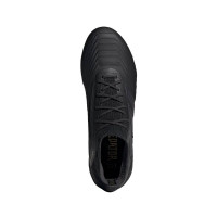 adidas PREDATOR 19.1 Gras Voetbalschoenen (FG) Zwart Zwart