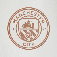 PUMA Manchester City 1/4 Zip Trainingstrui Stadium 2020-2021 Wit Lichtblauw