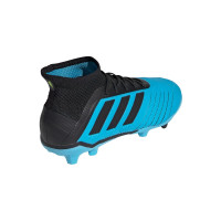 adidas PREDATOR 19.1 Gras Voetbalschoenen (FG) Kids Blauw Zwart