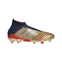 adidas PREDATOR 19+ Gras Voetbalschoenen (FG) Goud Zilver Donkerblauw