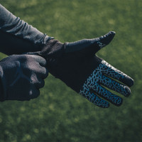 Nike JORDAN Therma Sphere handschoenen Zwart Wit