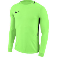 Nike Dry Park III Voetbalshirt Lange mouwen Keeper Green