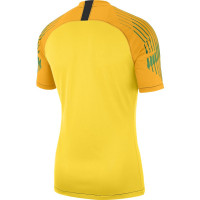 Nike Gardien II Keepersshirt Tour Yellow Green