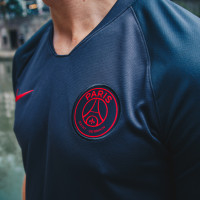Nike Paris Saint Germain Trainingsset 2019-2020 Grijs